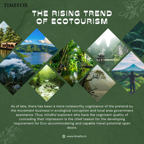 Dark Green Clean Minimalist Eco Tour Instagram Post (2) min.jpg