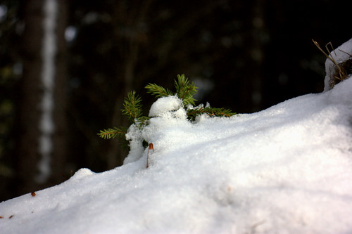 IMG 1410.jpg