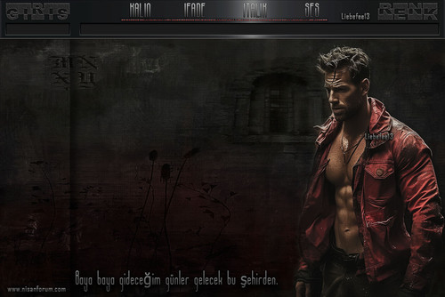 Bay Radyo Tema 210 liebefee13