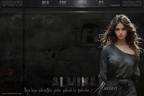 Bayan Radyo Tema 433 ALMINA