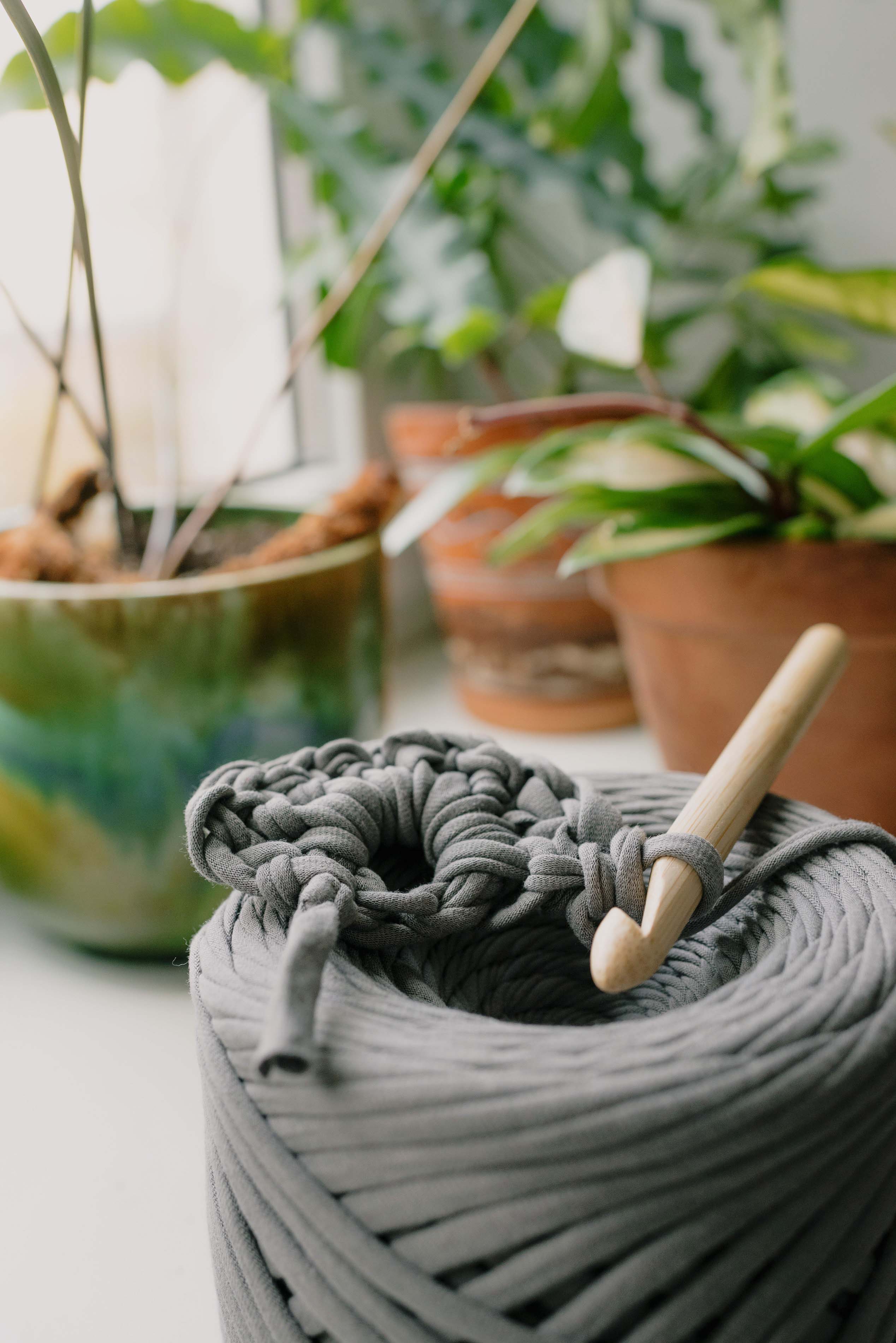 Leisure time at Handmade-Spinus, crocheting and plants companions
