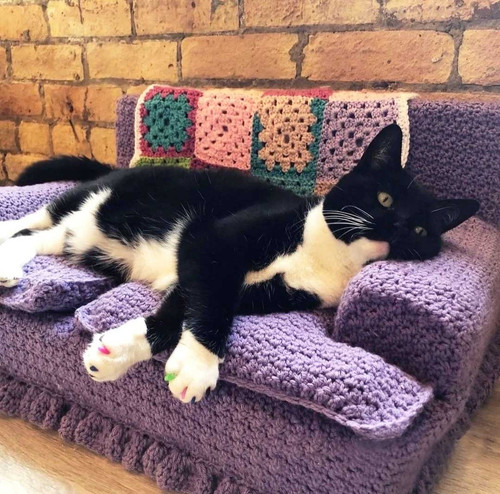 handmade spinus crochet blog - 5 Tips On How To Make Better Crochet Couch For Cats 02.jpg