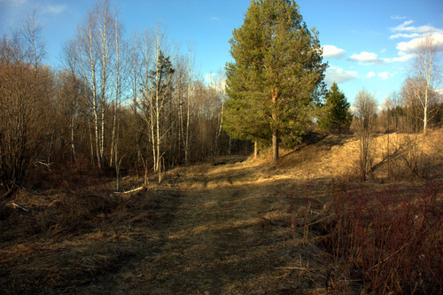 IMG 1386.jpg