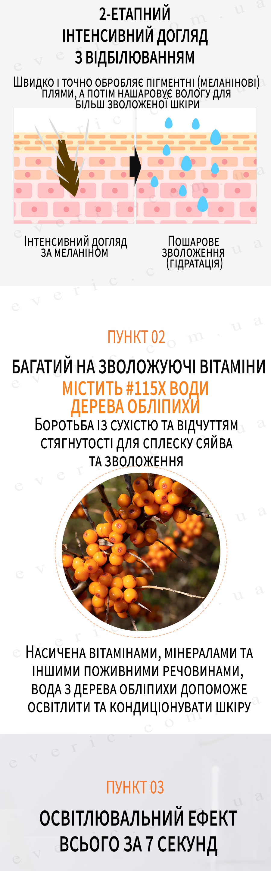6 копия