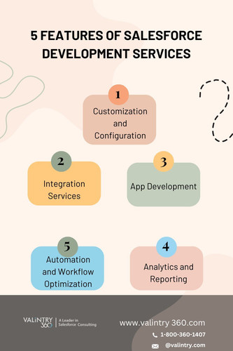 Salesforce Development Services image submission.jpg