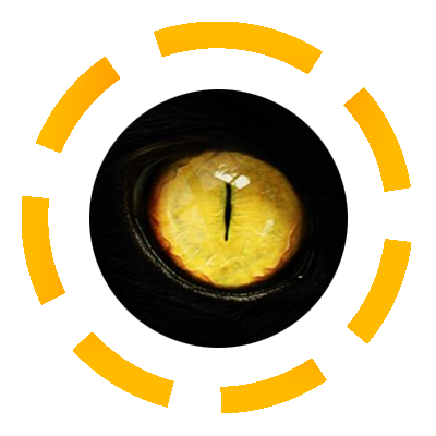 anoizen eye.png