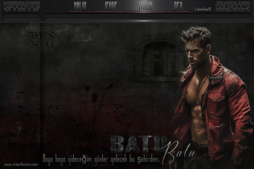 Bay Radyo Tema 210 BATU