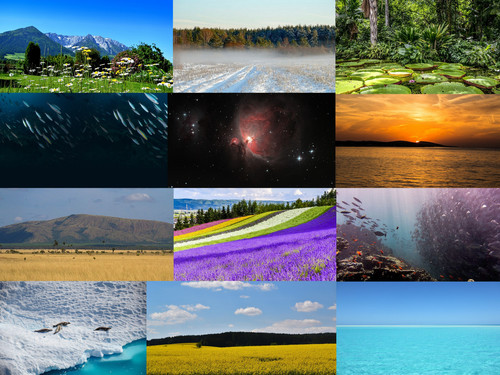 'Glorified is The Mighty Creator'.jpg