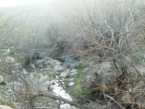 khanik-ferdows.jpg