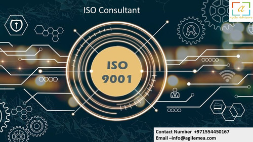 ISO Consultant.jpg