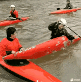 你招不招.gif