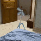 小风扇骂骂咧咧的走了，并且没有带上门.gif