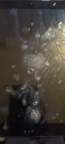IMG 20240102 153536589.jpg