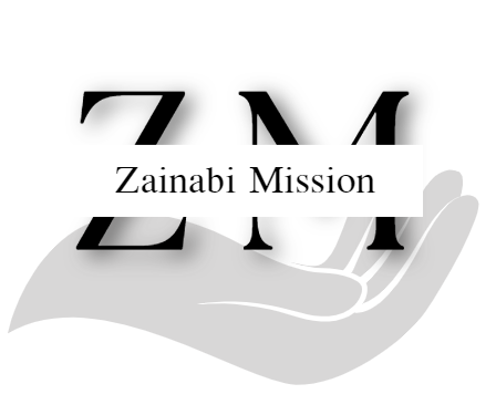 ZM1.png