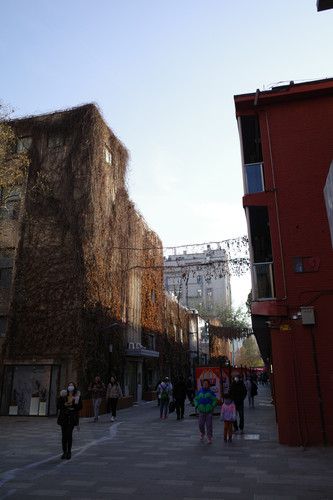 R0012814.jpg