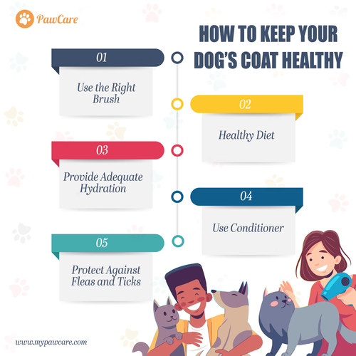 How to Keep Your Dog’s Coat Healthy.jpg