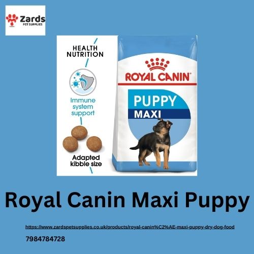 Royal Canin Maxi Puppy.jpg