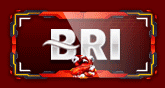 bri online.gif