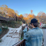 40c701a6ca8cdbe999ab3ca7ce4d3664