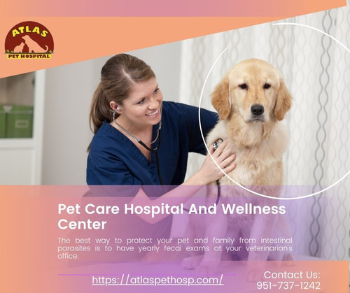 Pet Care Hospital And Wellness Center - Atlas Pet Hospital.jpg