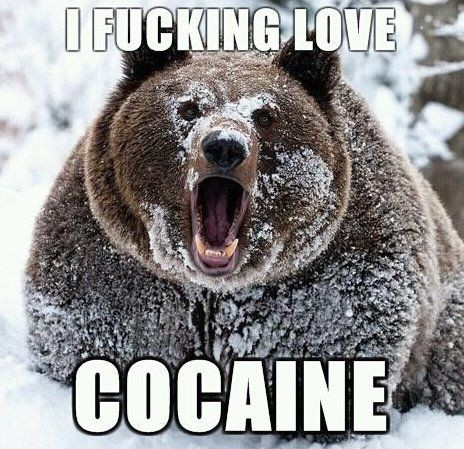I fucking love cocaine.jpg