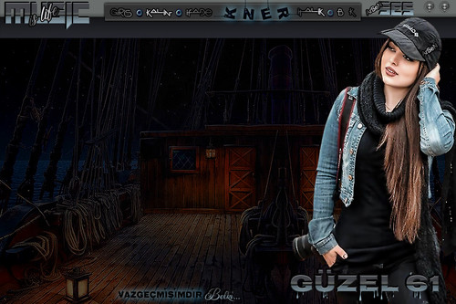 ArSeN BELKİ BAYAN TEMA GÜZEL61.jpg