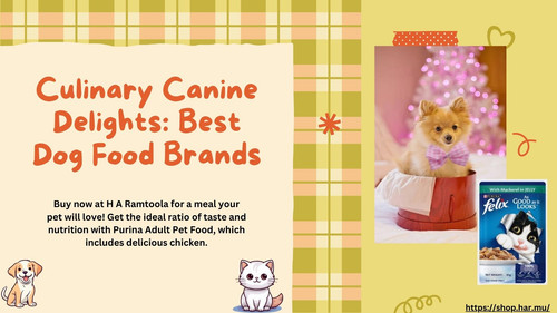 Culinary Canine Delights Best Dog Food Brands.jpg