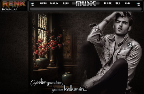 Lady Nur Erkek Tema Gel otur yanıma.jpg