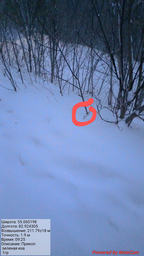 20240103 092534~2.jpg