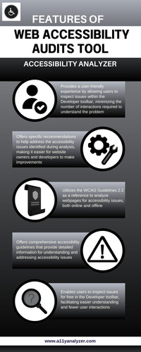 Features of the Web Accessibility Audits Tool - Accessibility Analyzer.jpg