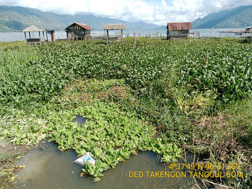 TimePhoto 20240102 142229.jpg