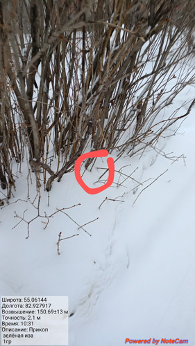 20240102 103148~2.jpg