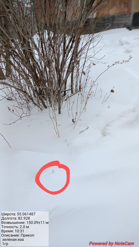 20240102 103143~2.jpg