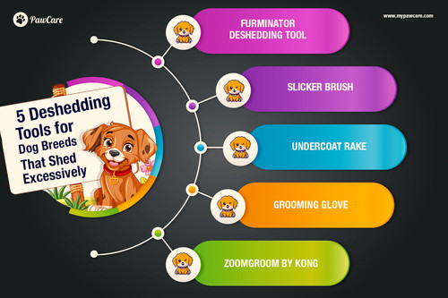 5 Deshedding Tools for Dog Breeds That Shed Excessively.jpg