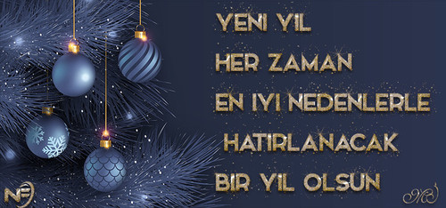 yeni yıl 2024 kopya.jpg