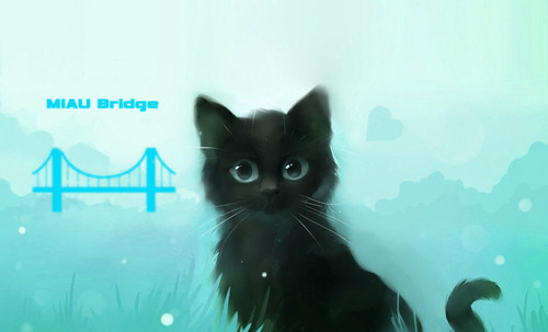 miau brige bg