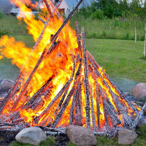 lagerfeuer garten 3207310 blp shutterstock.jpg
