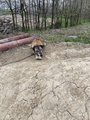 IMG 4837.jpg