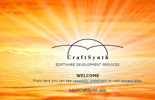 Back-end developer.png