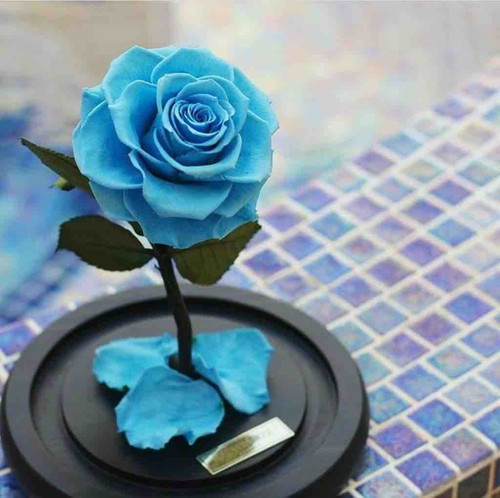 2F05868E D752 43C2 AD8E BBC63EFED1EB.jpg