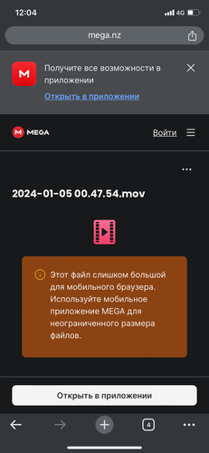 IMG 6271.png