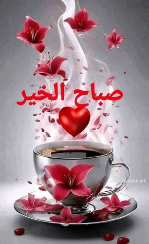 27C27B67 BE43 4B8D BA7A D765EFA8B2B9.jpg