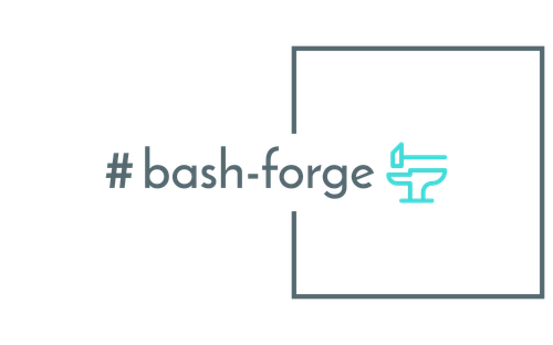  bash forge high resolution logo transparent (1).2