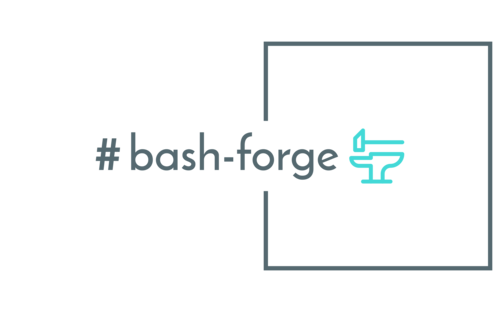  bash forge high resolution logo transparent (1).2