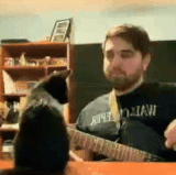 cat metalcore (1).3