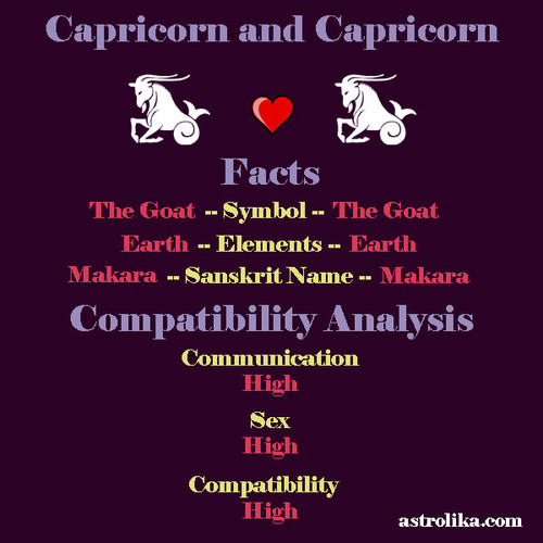 capricorn capricorn compatibility