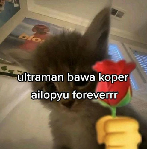 image.jpg