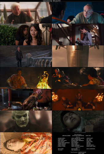 Dragonball.Evolution.2009.BluRay.480p.[Hindi.English].ESub.jpg