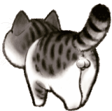 5e7e8381f3ef401c93138c39a1032f53 (1)