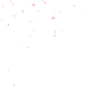 501af1d975e9435aa86b8e08e4c2ed84